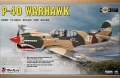 P40 Warhawk TopFlite GoldenSerie mit EZFH