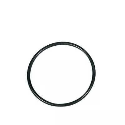 DLE20 O-Ring Geh�usedeckel