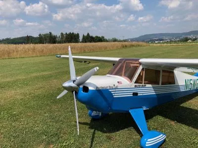 Aviat Husky (33%) 1:3 (mit 7 Servo GM735MD)