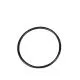 DLE20 O-Ring Geh�usedeckel