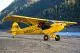 100cc Carbon Cub SS gelb ARF QB 1:2,5