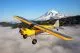 100cc Carbon Cub SS gelb/silber ARF QB 1:2,5 nicht lagernd