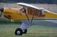 100cc Carbon Cub SS gelb/silber ARF QB 1:2,5 nicht lagernd