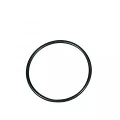 DLE20 O-Ring Geh�usedeckel