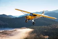 100cc Carbon Cub SS gelb/silber ARF QB 1:2,5 nicht lagernd