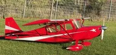 Extreme Decathlon 30% 1:3,3 Jerry Design mit 4 Servo's