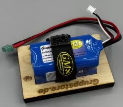 Grupp RC Battery 5600 (mit kostenloser Halter-3D-Druckdatei)