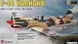 P40 Warhawk